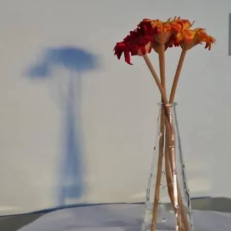 Reina, Apartmán Kusadası