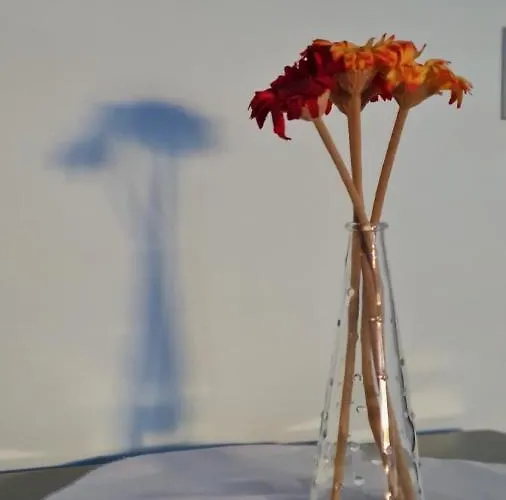 Reina, Apartament Kusadası